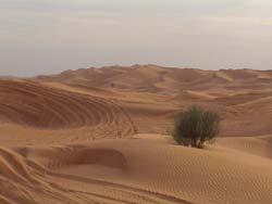 Dunes  perte de vue