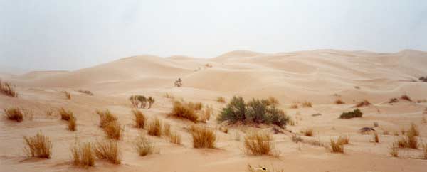 Majestueux cordon de dunes