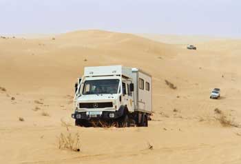 Momog dans les dunes géantes