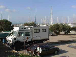 Momog sur le port de Sidi Bou Said