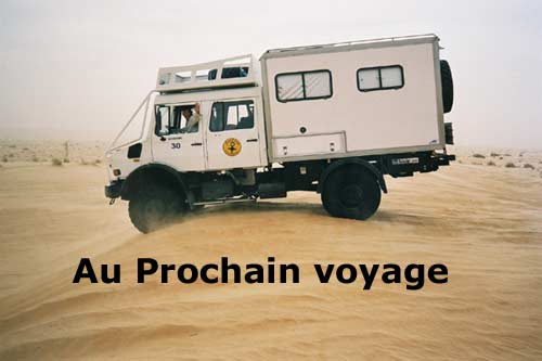 Momog avant le grand plongeon du prochain voyage
